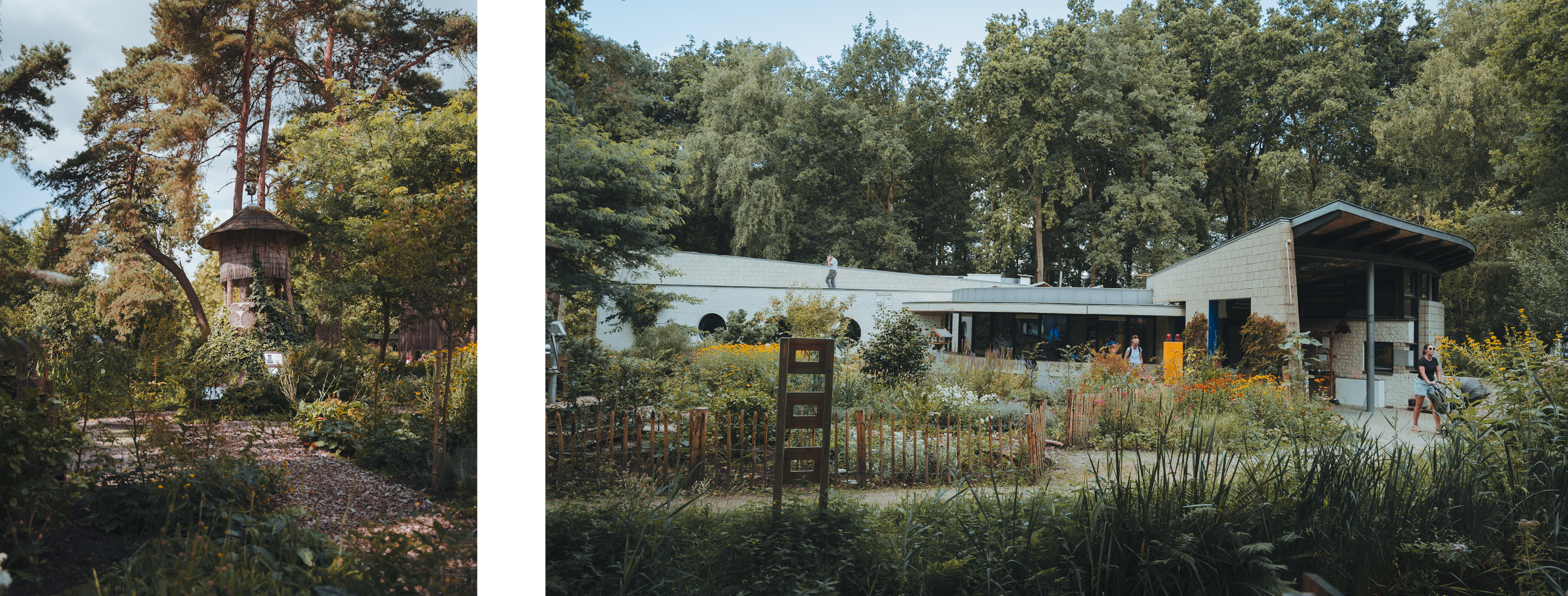 NMC Weert