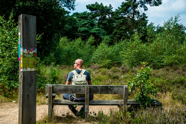 Een man met een rugzak zit op een houten bankje in een natuurgebied omringd door heide en bomen.