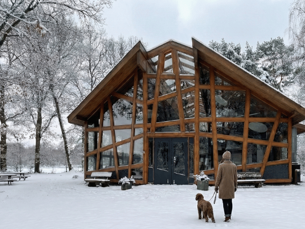 5x Frisse start De stilte van het bos p
