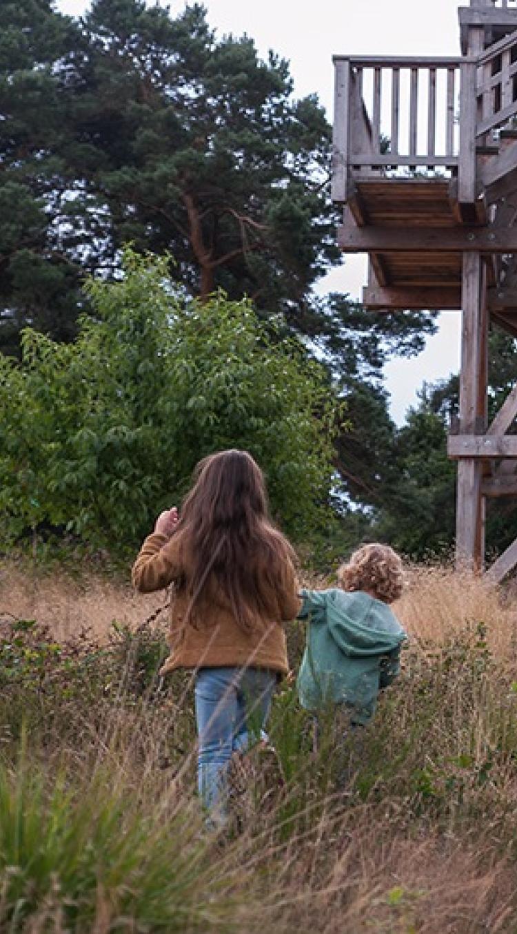 Twee kinderen wandelen over een zandpad door een groene, natuurlijke omgeving richting een houten uitkijktoren.